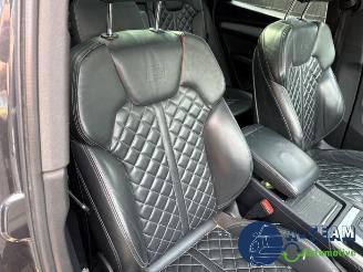 Audi SQ5 SQ5 (FYB/FYG), SUV, 2016 3.0 TFSI V6 24V picture 19