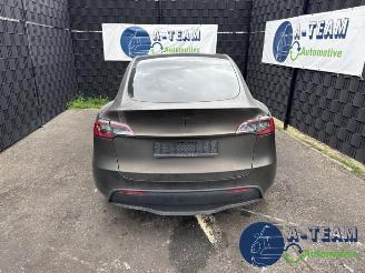 Tesla Model Y Model Y (5YJY), SUV, 2019 / 2025 Long Range,Performance picture 2