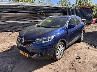 Avarii autoturisme Renault Kadjar 1.2 TCE Auomaat no damage 2017/1