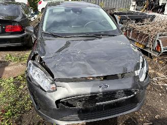 Auto incidentate Ford Fiesta diversen 2014/1