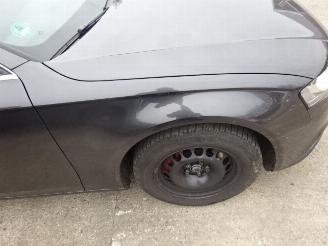 Audi A4 2.0 Tdi Kleurcode LZ7L picture 13