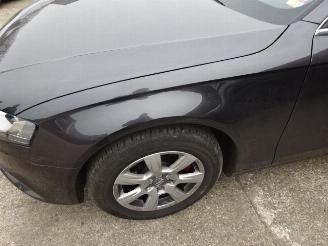 Audi A4 2.0 Tdi Kleurcode LZ7L picture 9