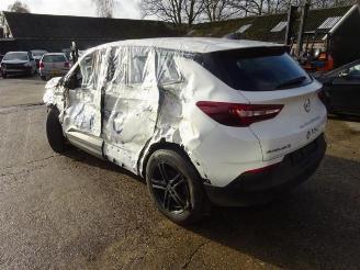 Opel Grandland Grandland/Grandland X, SUV, 2017 1.5 CDTI picture 3