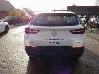 Opel Grandland Grandland/Grandland X, SUV, 2017 1.5 CDTI picture 4