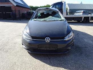Sloopauto Volkswagen Golf Golf VII (AUA), Hatchback, 2012 / 2021 1.6 TDI BMT 16V 2019/1