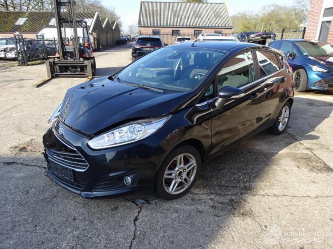 Ford Fiesta Fiesta 6 (JA8), Hatchback, 2008 / 2018 1.0 EcoBoost 12V 100