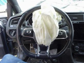 Volkswagen Golf Golf VII Variant (AUVV), Combi, 2013 / 2021 2.0 GTD 16V picture 19