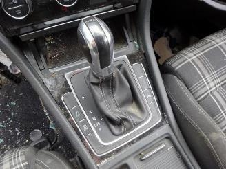 Volkswagen Golf Golf VII Variant (AUVV), Combi, 2013 / 2021 2.0 GTD 16V picture 25