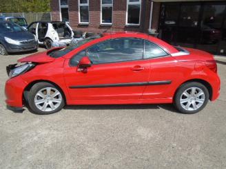 Peugeot 207 1.6 16v 5fw picture 2