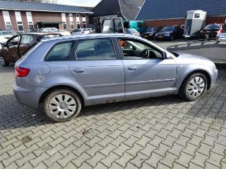 Audi A3 1.9 tdi kleurcode LY7H picture 6