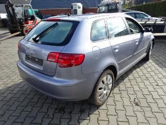 Audi A3 1.9 tdi kleurcode LY7H picture 5