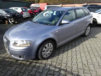 Audi A3 1.9 tdi kleurcode LY7H picture 1