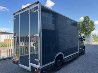 Renault Master T35 2.3 dCi 150 automaat Energy picture 2