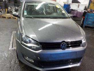 Volkswagen Polo Polo (6R) Hatchback 1.6 TDI 16V 90 (CAYB) [66kW]  (06-2009/05-2014) picture 2