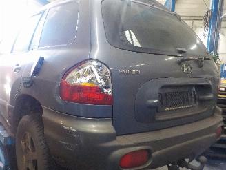 Hyundai Santa Fe Santa Fe I SUV 2.0 CRDi 16V 4x4 (D4EA) [83kW]  (04-2001/03-2006) picture 3