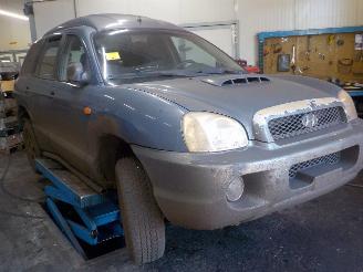 Hyundai Santa Fe Santa Fe I SUV 2.0 CRDi 16V 4x4 (D4EA) [83kW]  (04-2001/03-2006) picture 2