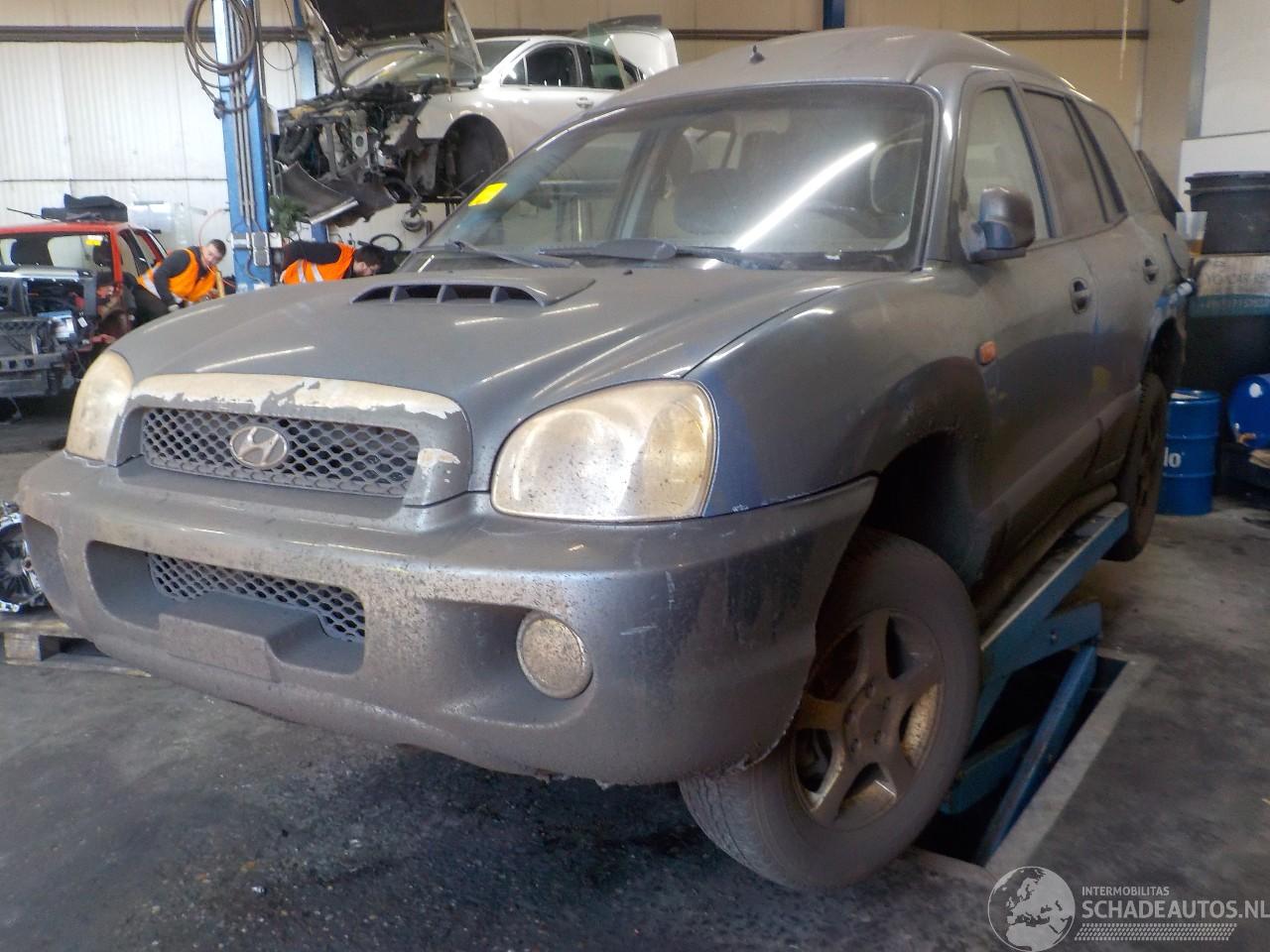 Hyundai Santa Fe Santa Fe I SUV 2.0 CRDi 16V 4x4 (D4EA) [83kW]  (04-2001/03-2006)