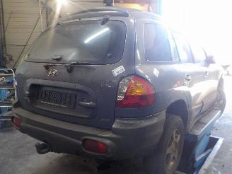 Hyundai Santa Fe Santa Fe I SUV 2.0 CRDi 16V 4x4 (D4EA) [83kW]  (04-2001/03-2006) picture 4