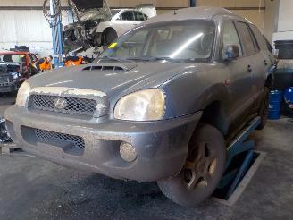 Hyundai Santa Fe Santa Fe I SUV 2.0 CRDi 16V 4x4 (D4EA) [83kW]  (04-2001/03-2006) picture 1