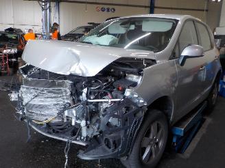 Renault Scenic Scénic III (JZ) MPV 2.0 16V CVT (M4R-F711) [103kW]  (02-2009/05-2016=
) picture 1