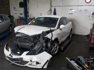 uszkodzony samochody osobowe Seat Ibiza Ibiza IV SC (6J1) Hatchback 3-drs 1.4 16V (BXW) [63kW]  (07-2008/05-20=
15) 2009