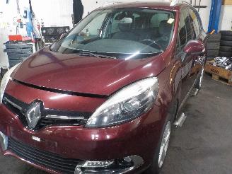 disassembly passenger cars Renault Scenic Scénic III (JZ) MPV 1.5 dCi 110 (K9K-636) [81kW]  (04-2011/...) 2015/0