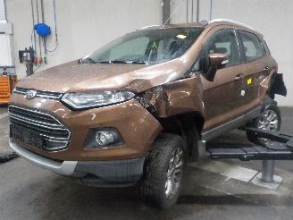 škoda osobní automobily Ford EcoSport EcoSport (JK8) SUV 1.0 EcoBoost 12V 125 (M1JC(Euro 5)) [92kW]  (10-201=
3/...) 2016/1