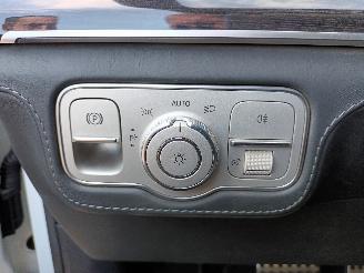 Mercedes GLS GLS (X167) SUV 580 4.0 4-Matic (M176.980) [360kW]  (11-2019/...) picture 15