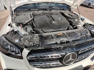 Mercedes GLS GLS (X167) SUV 580 4.0 4-Matic (M176.980) [360kW]  (11-2019/...) picture 39