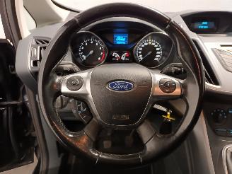 Ford Grand C-Max Grand C-Max (DXA) MPV 1.0 Ti-VCT EcoBoost 12V 125 (M1DA(Euro 5)) [92kW=
]  (10-2012/06-2019) picture 13