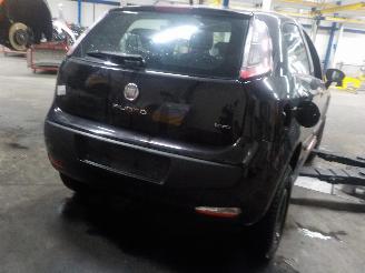 Fiat Punto Punto Evo (199) Hatchback 1.3 JTD Multijet 85 16V (199.B.4000(Euro 5))=
 [62kW]  (10-2009/02-2012) picture 3