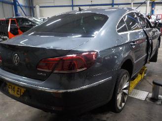 Volkswagen Passat Passat (362) Sedan 2.0 TDI 16V 140 (CFFB) [103kW]  (08-2010/12-2014) picture 3