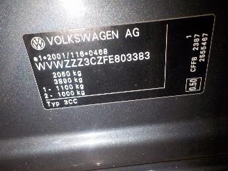 Volkswagen Passat Passat (362) Sedan 2.0 TDI 16V 140 (CFFB) [103kW]  (08-2010/12-2014) picture 6