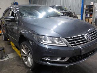 Volkswagen Passat Passat (362) Sedan 2.0 TDI 16V 140 (CFFB) [103kW]  (08-2010/12-2014) picture 2