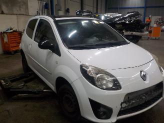 Renault Twingo Twingo II (CN) Hatchback 3-drs 1.2 16V (D4F-772(D4F-J7)) [56kW]  (03-2=
007/09-2014) picture 2