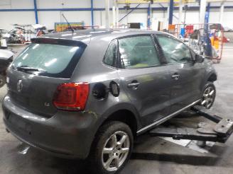 Volkswagen Polo Polo V (6R) Hatchback 1.4 16V (CGGB(Euro 5)) [63kW]  (03-2009/05-2014)= picture 3