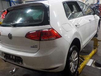 Volkswagen Golf Golf VII (AUA) Hatchback 1.0 TSI 12V BlueMotion (CHZD) [85kW]  (05-201=
5/08-2020) picture 3