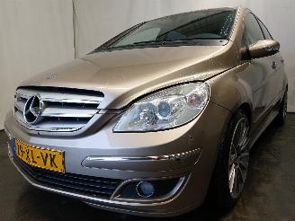 škoda osobní automobily Mercedes B-klasse B (W245) Hatchback 2.0 B-200 16V Turbo (M266.980) [142kW]  (03-2005/11=
-2011) 2005/10
