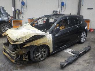 disassembly passenger cars Volkswagen Golf Golf VIII (CD1) Hatchback 2.0 TSI R 16V 4Motion (DNFG) [235kW]  (09-20=
20/...) 2023/1