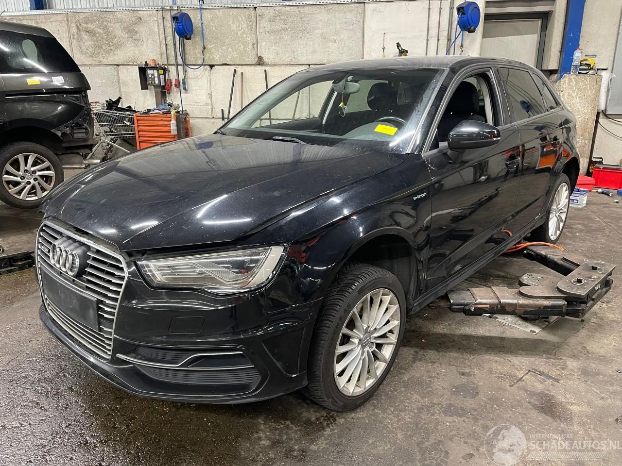 Audi A3 A3 Sportback (8VA/8VF) Hatchback 5-drs 1.4 TFSI 16V e-tron (CUKB(Euro =
6)) [110kW]  (05-2014/10-2020)