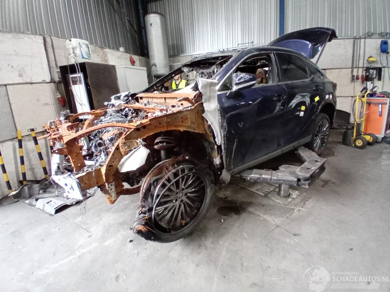 Lexus RX RX (LA1/LH1) SUV 450h+ E-Four (A25B-FXS) [227kW]  (12-2022/...)