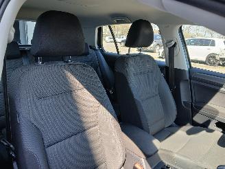 Volkswagen Golf Golf VII (AUA) Hatchback e-Golf (EAZA) [100kW]  (12-2016/01-2021) picture 4