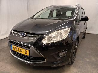 škoda osobní automobily Ford Grand C-Max Grand C-Max (DXA) MPV 1.0 Ti-VCT EcoBoost 12V 125 (M1DA(Euro 5)) [92kW=
]  (10-2012/06-2019) 2013/6
