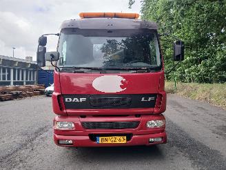 DAF LF 220 Hiab Kraan picture 28