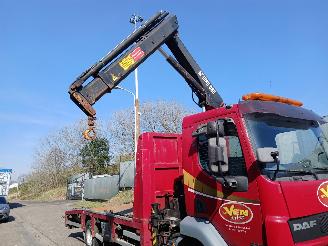 DAF LF 220 Hiab Kraan picture 25