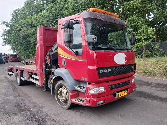 DAF LF 220 Hiab Kraan picture 29