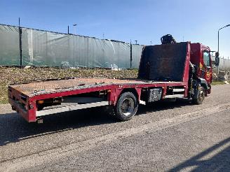DAF LF 220 Hiab Kraan picture 5