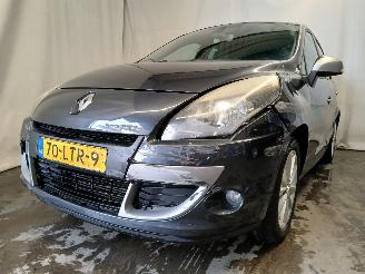 škoda osobní automobily Renault Scenic Scénic III (JZ) MPV 1.4 16V TCe 130 (H4J-700(H4J-A7)) [96kW]  (02-20=
09/09-2016) 2010/6
