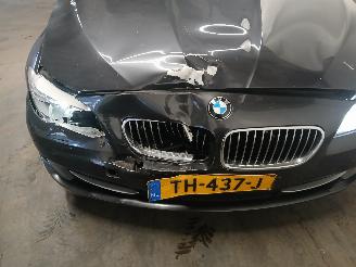 BMW 5-serie 5 serie Touring (F11) Combi 520d 16V (N47-D20C) [120kW]  (06-2010/02-2=
017) picture 19