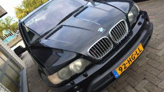 BMW X5 X5 (E53) SUV 4.4 V8 32V (M62-B44(448S2)) [210kW]  (01-2000/09-2003) picture 23